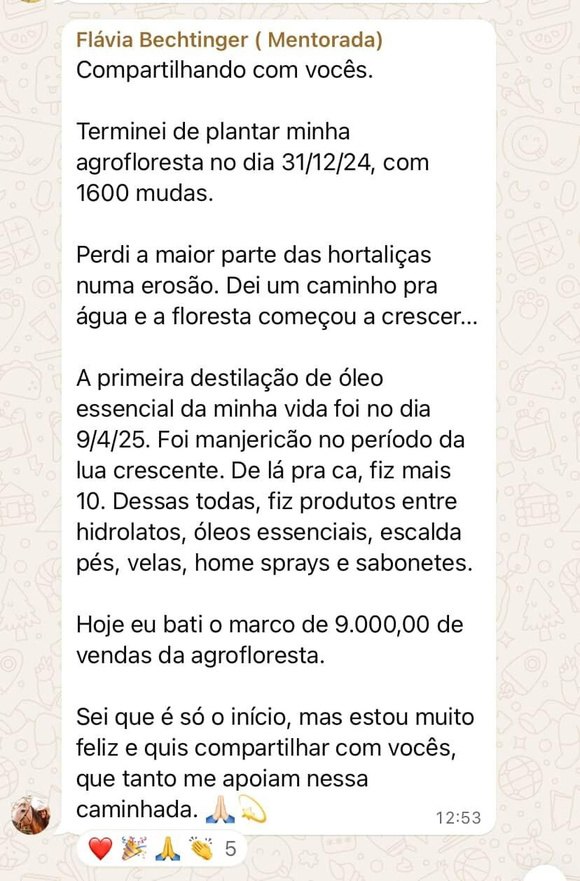 Print de mensagem da mentorada Flávia contando que bateu R$ 9.000 em vendas da agrofloresta